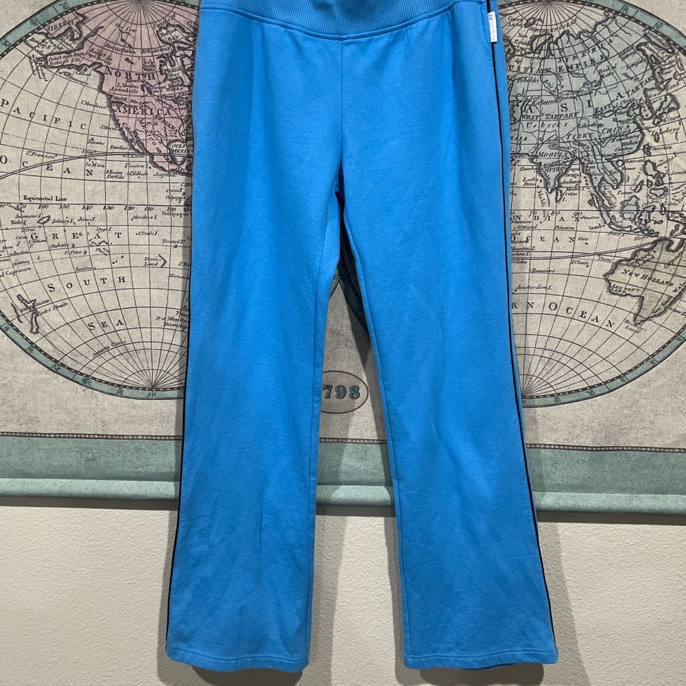 Vintage Blue Reebok Sweatpants